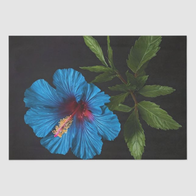 Blue Hibiscus Flower On Black, Decoupage  Tissue Paper (Front)