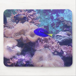 "Blue Hippo Tang Oasis" Mouse Pad