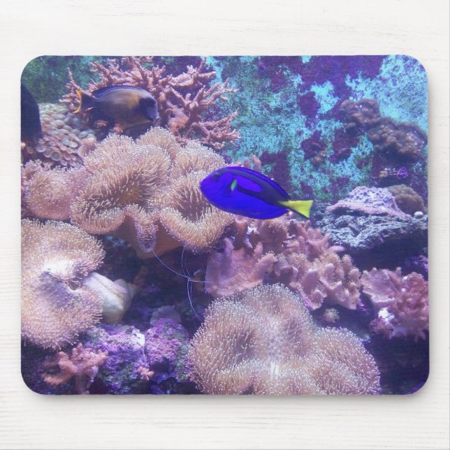 "Blue Hippo Tang Oasis" Mouse Pad (Front)