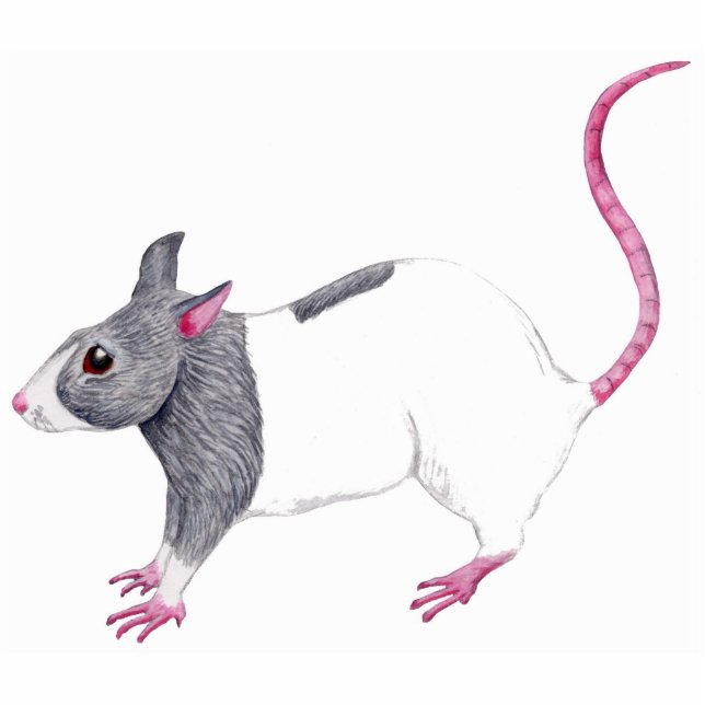 blue hooded rat sculpture standing photo sculpture (Front)