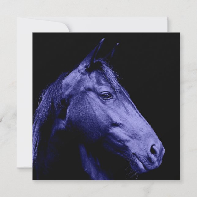 Blue Horse Design Invitation (Front)