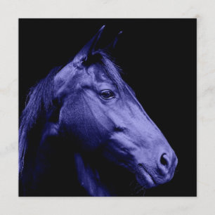 Blue Horse Design Invitation