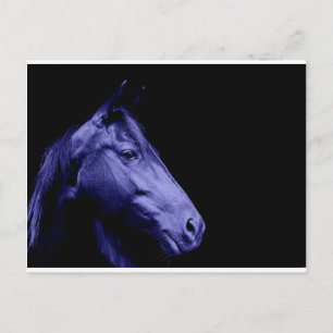 Blue Horse Design Postcard