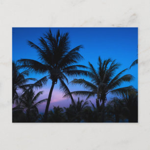 Blue Hour Bliss: Silhouette Palm Trees Postcard