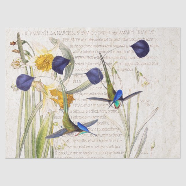 Blue Hummingbird Bird Daffodil Flower Tissue Paper (Front)