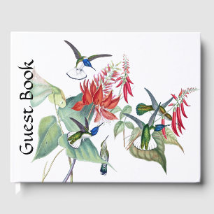 Blue Hummingbird Birds Red Floral Guest Book
