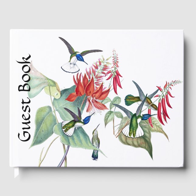 Blue Hummingbird Birds Red Floral Guest Book (Front)