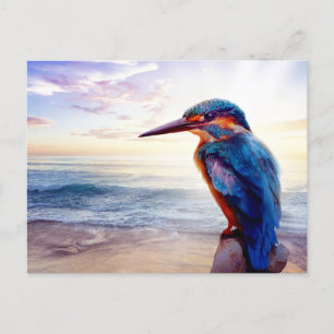 Blue Hummingbird Exotic Sunset Beach Postcard