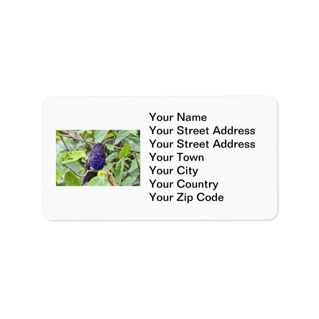 Blue Hummingbird Photo Label (Front)