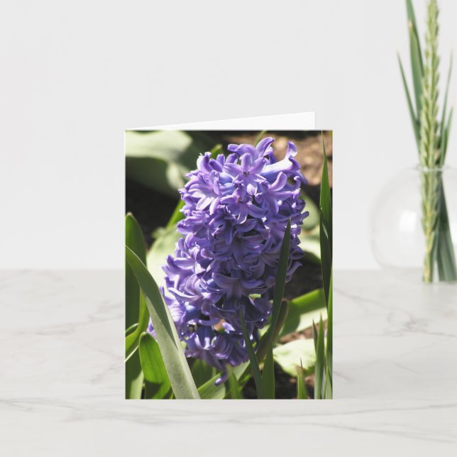 blue Hyacinth card (Front)