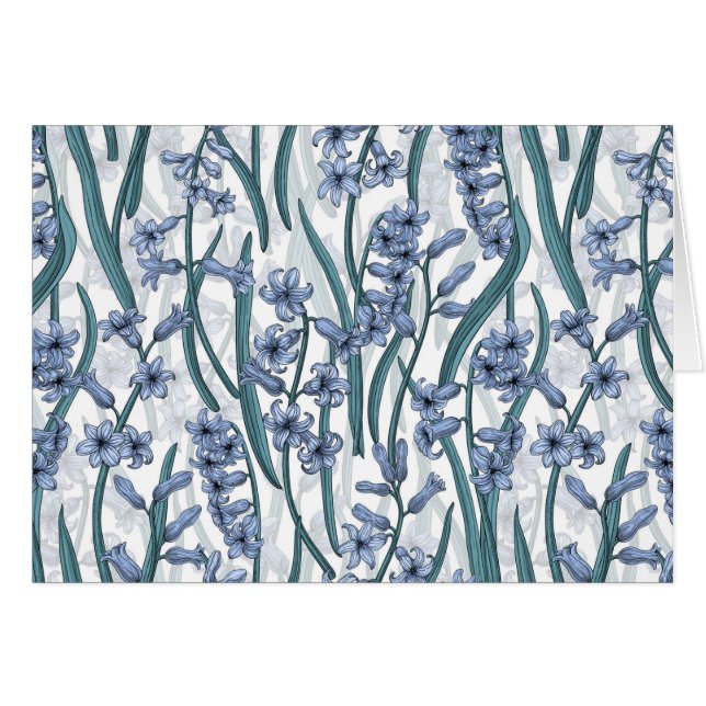 Blue Hyacinth flowers on white (Front Horizontal)