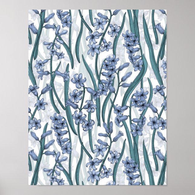 Blue Hyacinth flowers on white Poster (Front)