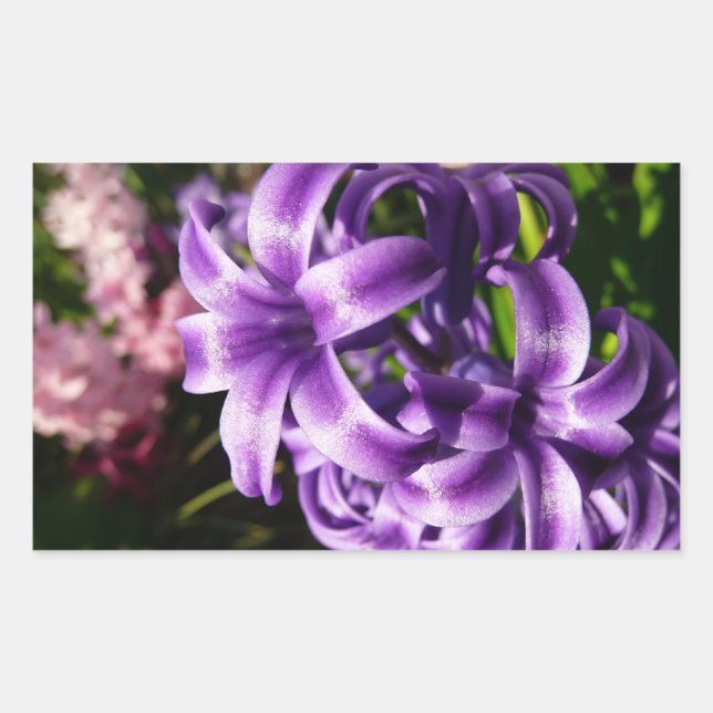 Blue Hyacinth I Spring Floral Rectangular Sticker (Front)