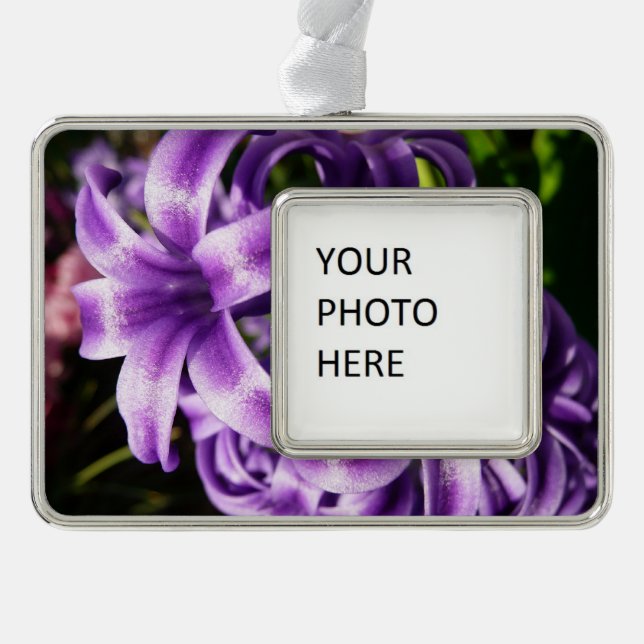 Blue Hyacinth I Spring Floral Silver Plated Framed Ornament (Front)