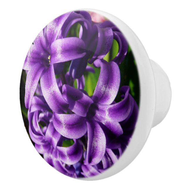 Blue Hyacinth II Spring Floral Ceramic Knob (Right)