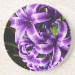 Blue Hyacinth II Spring Floral Coaster