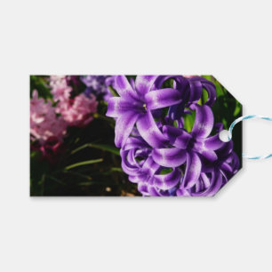Blue Hyacinth II Spring Floral Gift Tags