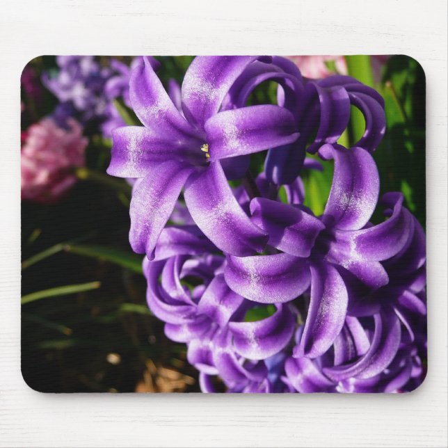 Blue Hyacinth II Spring Floral Mouse Mat (Front)