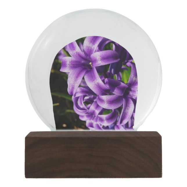 Blue Hyacinth II Spring Floral Snow Globe (Front)