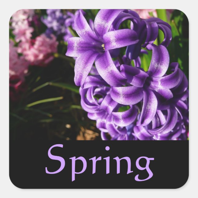 Blue Hyacinth Spring Sticker (Front)