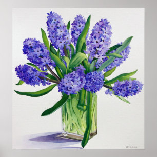 Blue Hyacinths Poster