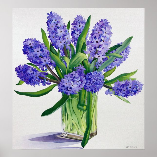 Blue Hyacinths Poster (Front)