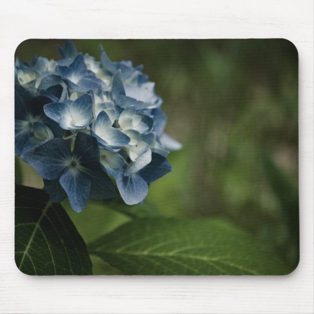 Blue Hydrangea 8519 Mousepad (Front)