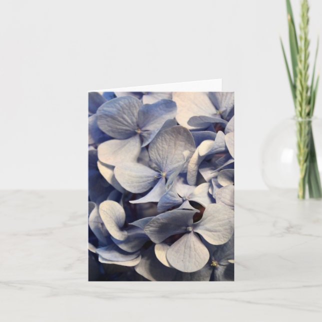 Blue Hydrangea Blank Notecards (Front)