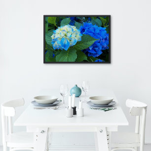Blue Hydrangea Blooms Floral Glossy Poster