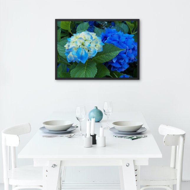 Blue Hydrangea Blooms Floral Glossy Poster (In Situ)
