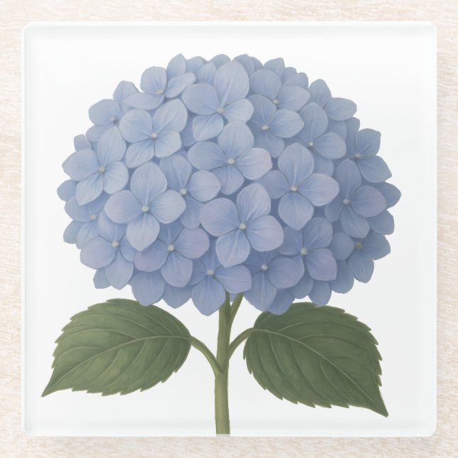 Blue Hydrangea Botanical Illustration Design Glass Coaster (Front)