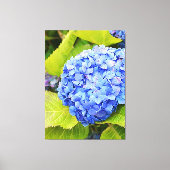 Blue hydrangea canvas print (Front)