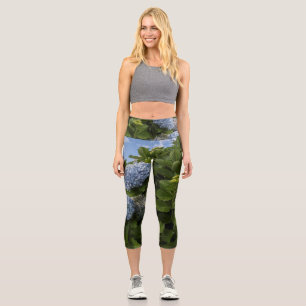 Blue Hydrangea Capri Leggings