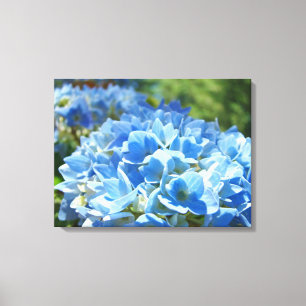 Blue Hydrangea Floral Canvas Photography art print