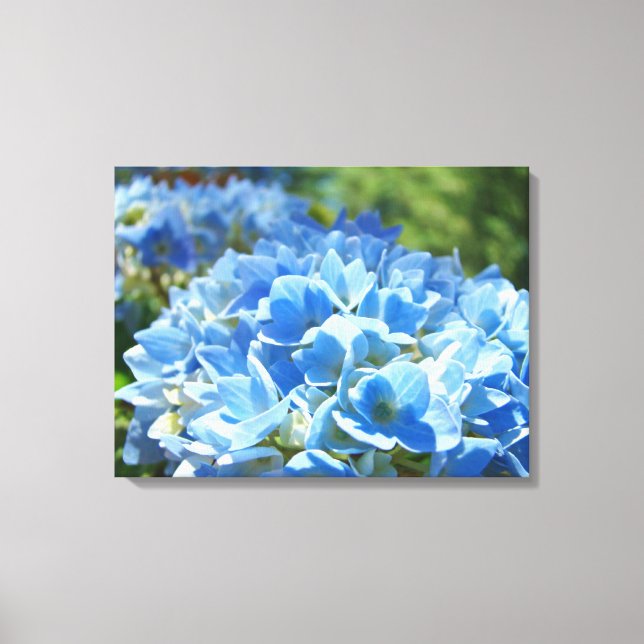 Blue Hydrangea Floral Canvas Photography art print (Front)