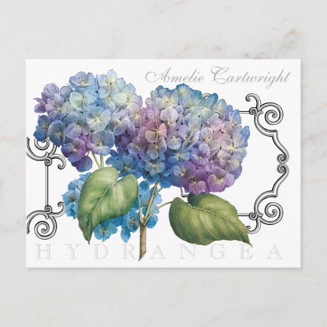 Blue Hydrangea Floral Monogrammed Name Postcard (Front)