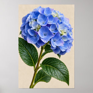 Blue Hydrangea Floral Wall Art