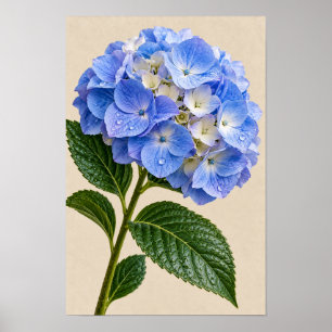 Blue Hydrangea Floral Wall Art