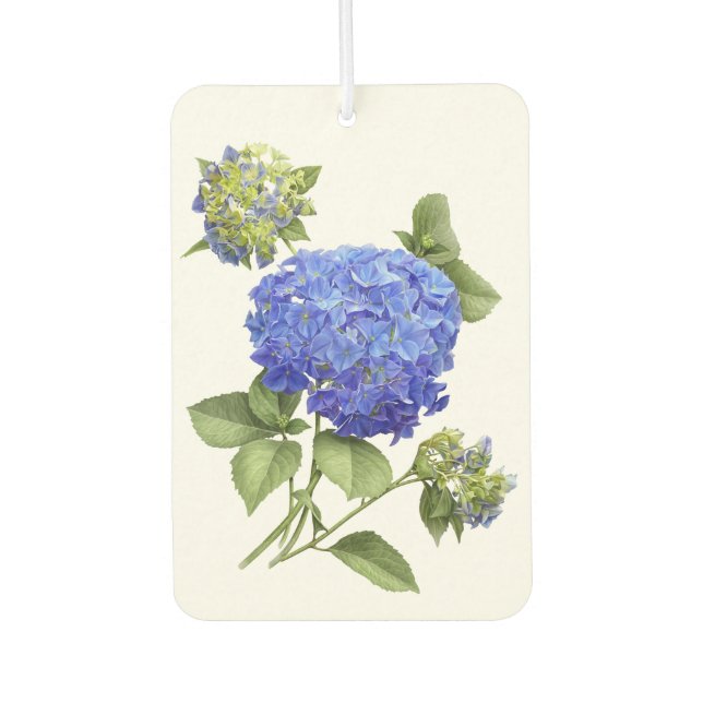 Blue Hydrangea Flower Botanical Art Design Car Air Freshener (Front)