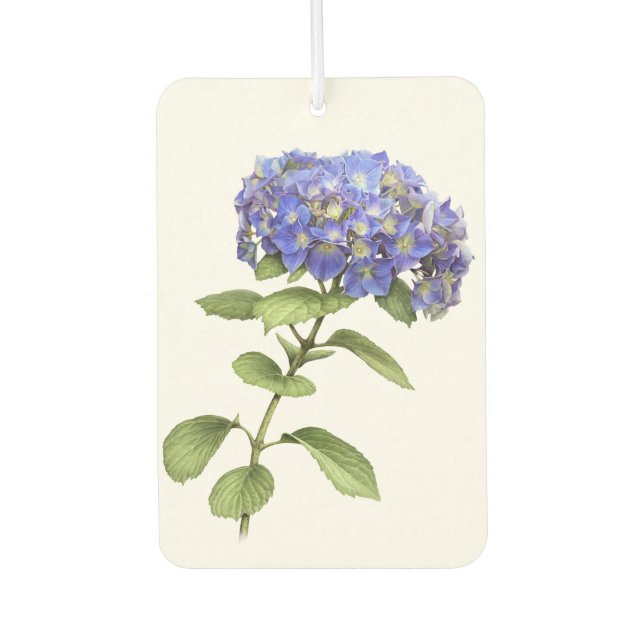 Blue Hydrangea Flower Botanical Art Design Car Air Freshener (Front)