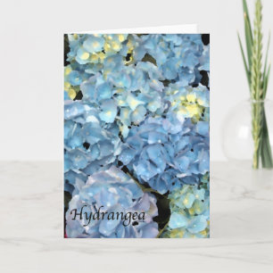 Blue Hydrangea Flower  Card