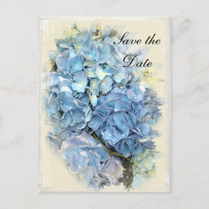Blue Hydrangea Flower Wedding Save the Date Announcement Postcard