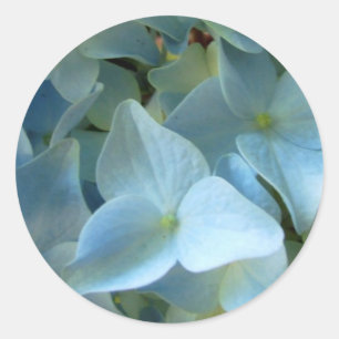 Blue Hydrangea Flowers Floral Flower Photo Classic Round Sticker