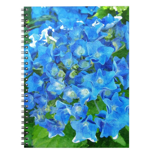 Blue hydrangea flowers. Floral photography. Notebook (Front)