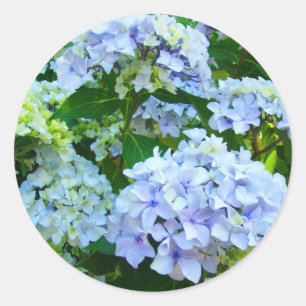 Blue Hydrangea Flowers Garden Summer stickers