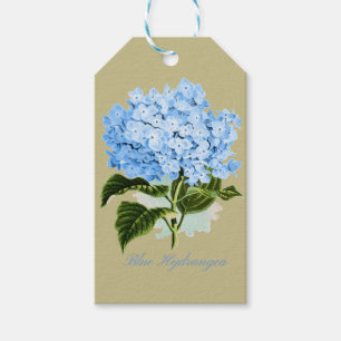 Blue Hydrangea Gift Tags