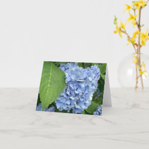 Blue Hydrangea (Hydrangea macrophylla) card
