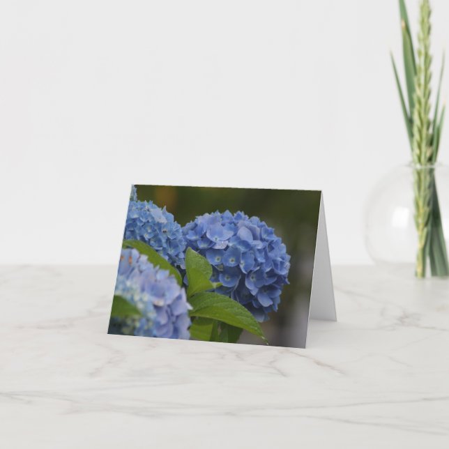 Blue Hydrangea Note Card (Front)