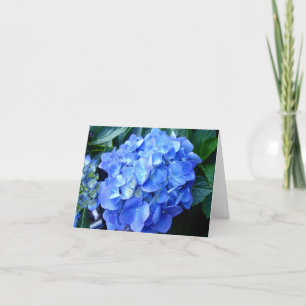 Blue Hydrangea Note Card