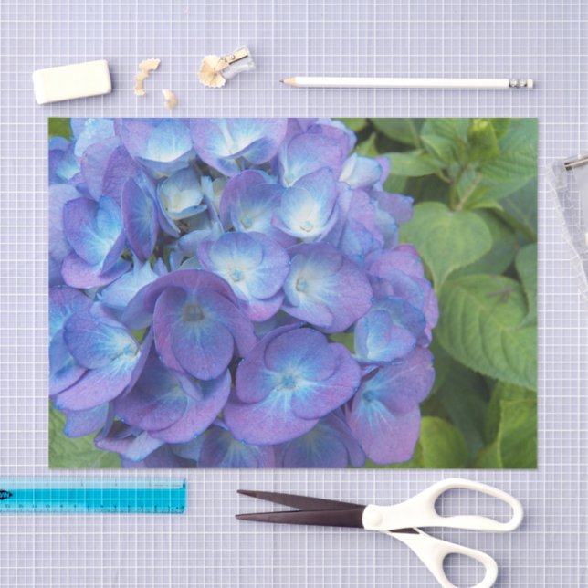 Blue Hydrangea Petals Floral Tissue Paper (Craft)